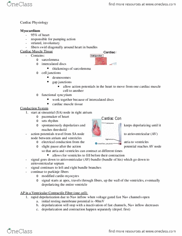 HTHSCI 1H06 Lecture Notes - Lecture 3: Aortic Valve, Blood Pressure, Proprioception thumbnail