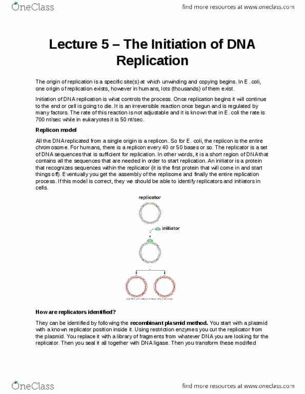 Biochemistry 3382A Lecture Notes - Lecture 5: Plasmid, Conformational Change, Chromosome thumbnail