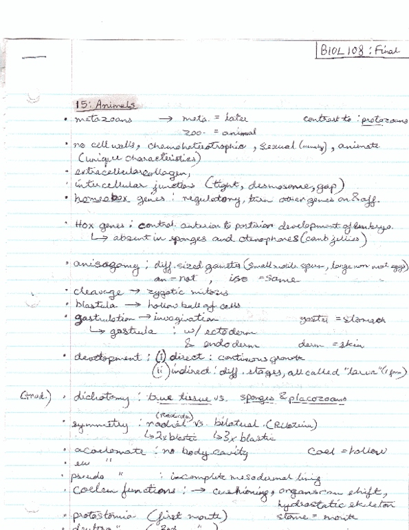 BIOL108 Final: BIOL 108 FINAL material (Animals to Mammal-end).PDF ...