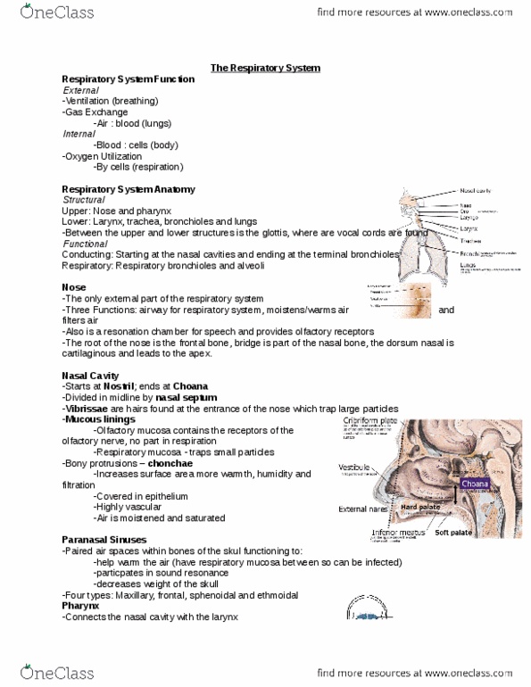 document preview image