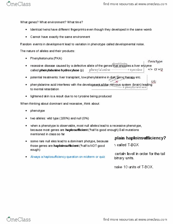 BIOL 205 Lecture Notes - Lecture 4: Phenylalanine Hydroxylase, Intellectual Disability, Liver Transplantation thumbnail