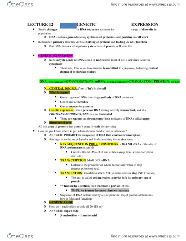 BIOL107 Lecture Notes - Lecture 12: Transversion, Eukaryote, Prokaryote thumbnail