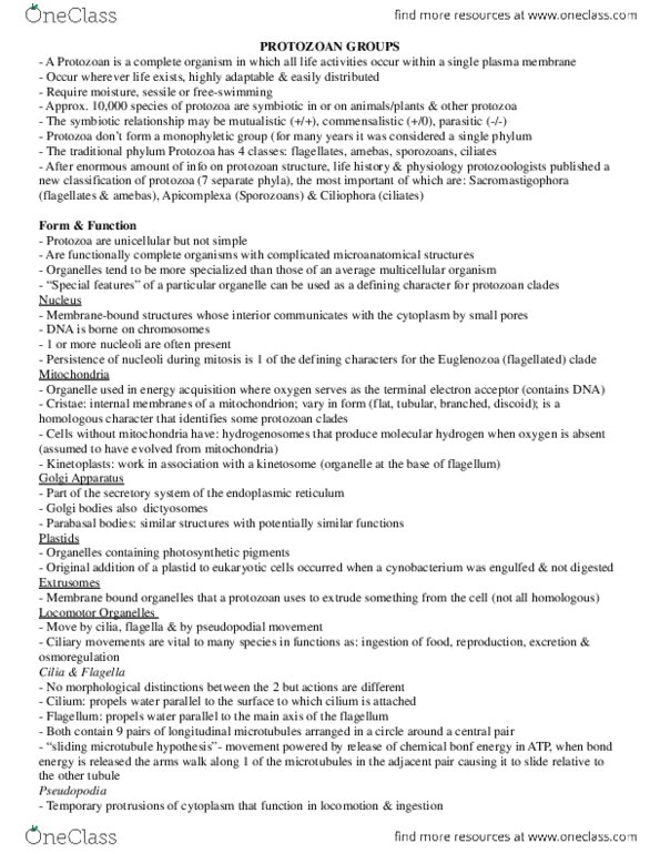 BIOL 2030 Chapter Notes - Chapter 5: Euglenid, Mitochondrion, Zooxanthellae thumbnail