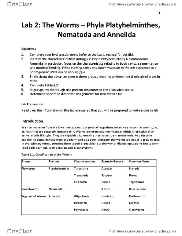 BIOL 243 Lecture Notes - Lecture 1: Wuchereria Bancrofti, Planaria, Nephridiopore thumbnail