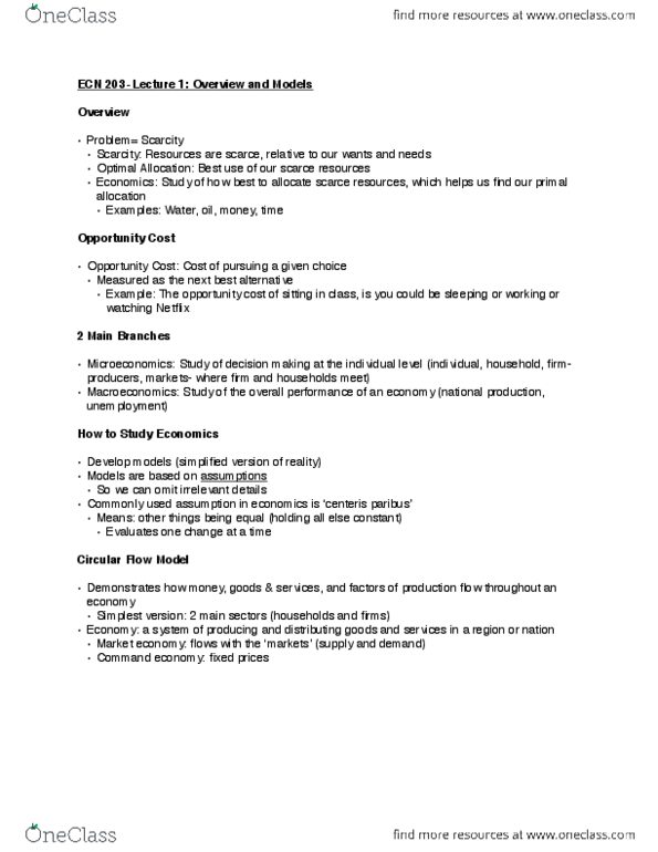 ECN 203 Lecture Notes - Lecture 1: Opportunity Cost, Market Economy, Root Mean Square thumbnail