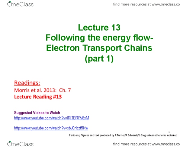 BIOL 243 Lecture Notes - Lecture 1: Hydrophile, Citric Acid Cycle, Roton thumbnail