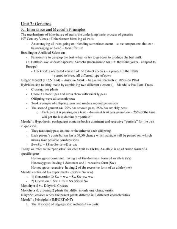 ARCH 131 Lecture Notes - Egg Cell, Spermatogenesis, Spermatocyte thumbnail