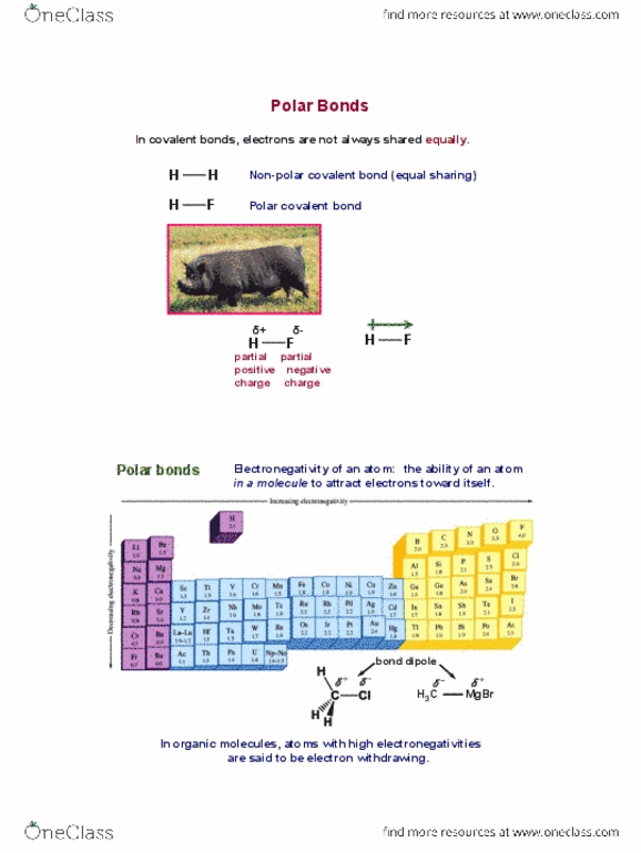 CHM136H1 Lecture Notes - Lecture 3: Benzene, Aldehyde, Organic Chemistry thumbnail