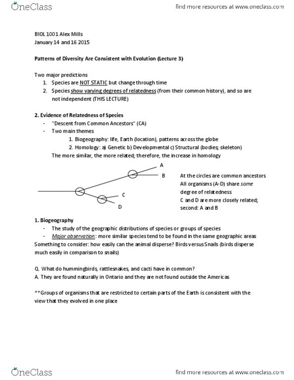 BIOL 1001 Lecture Notes - Lecture 3: Ulna, Internal Consistency, Tetrapod thumbnail