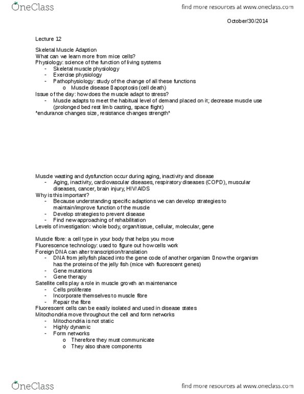 KIN104 Lecture Notes - Lecture 12: Muscle Hypertrophy, Myosatellite Cell, Gene Therapy thumbnail