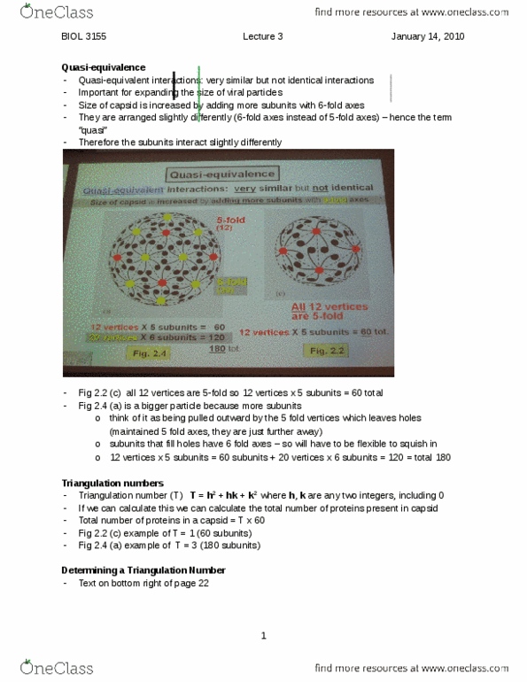 BIOL 3155 Lecture Notes - Lecture 3: Envelope, Tobacco Mosaic Virus, Viral Envelope thumbnail