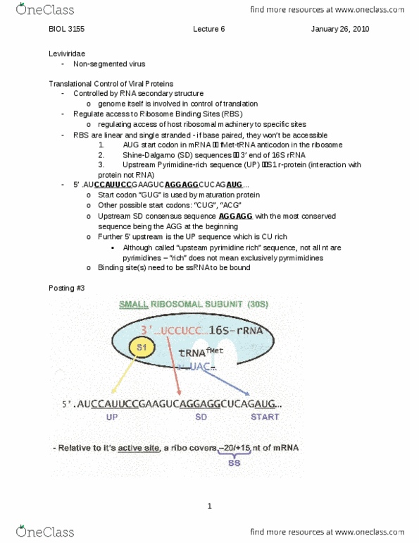 BIOL 3155 Lecture Notes - Lecture 6: Reading Frame, Prokaryotic Small Ribosomal Subunit, Cistron thumbnail