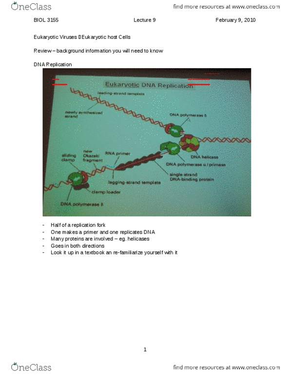 BIOL 3155 Lecture Notes - Lecture 9: Alternative Splicing, Transcription Factor Ii B, Gardasil thumbnail