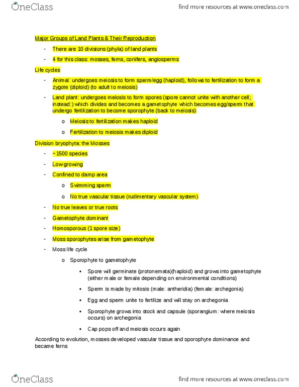 BIOL 1011 Lecture Notes - Lecture 3: Gamete, Cycad, Mitosis thumbnail