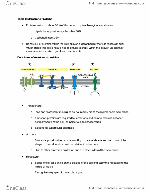 Biochemistry 3380G Lecture Notes - Lecture 7: Beta Sheet, Cytosol, Hydrogen Bond thumbnail