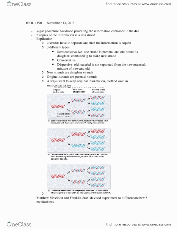 BIOL 1F90 Lecture Notes - Lecture 8: Semiconservative Replication thumbnail
