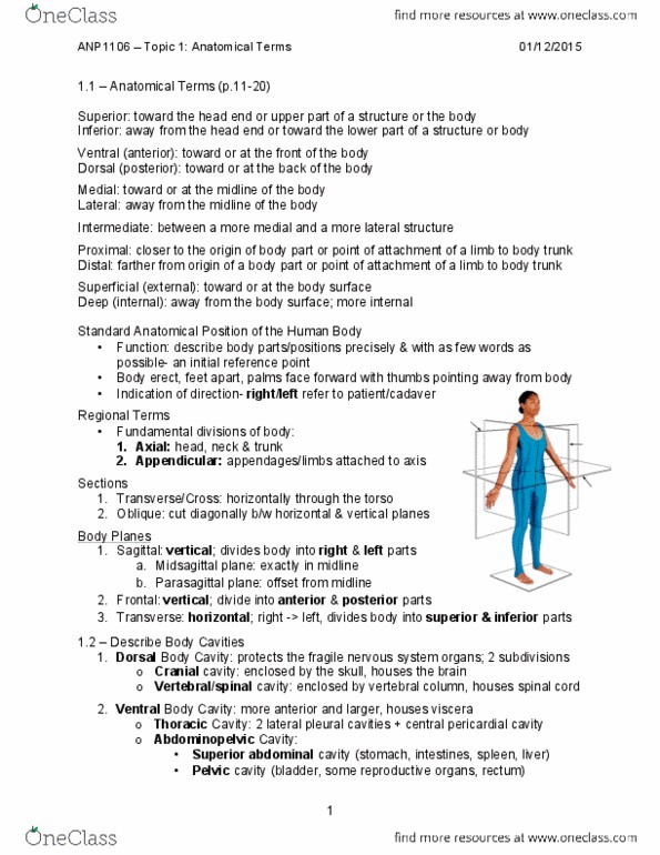 ANP 1106 Lecture 1: ANP1106 – Topic 1- Anatomical Terms.pdf - OneClass