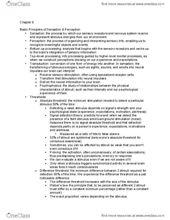 PSY 1101 Chapter Notes - Chapter 6: Aroma Compound, Thalamus, Monosodium Glutamate thumbnail