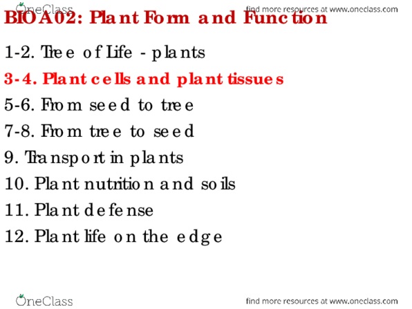 BIOA02H3 Lecture Notes - Lecture 4: Plant Nutrition, Flowering Plant, Eudicots thumbnail