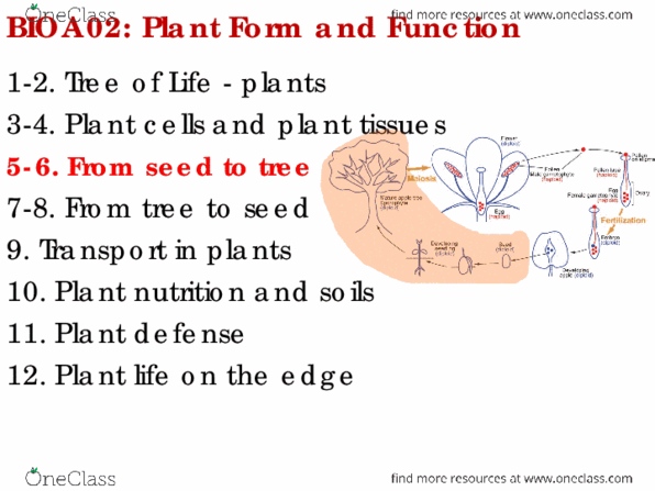 BIOA02H3 Lecture Notes - Lecture 5: Hitchhiking, Seed, Ovule thumbnail