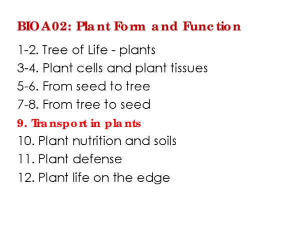 BIOA02H3 Lecture Notes - Lecture 9: Ylem, Transpiration, Sug thumbnail