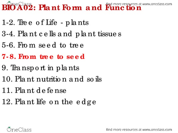 BIOA02H3 Lecture Notes - Lecture 7: Chamerion Angustifolium, Caulophyllum Thalictroides, Dioecy thumbnail