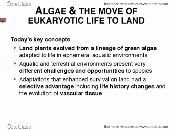 BIOL1012 Lecture Notes - Lecture 12: Embryophyte, Lignin, Gametangium thumbnail