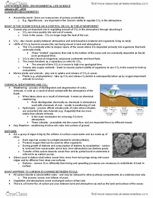 LIFESCI 2H03 Lecture Notes - Lecture 7: Carbon Fixation, Stza, Thermocline thumbnail