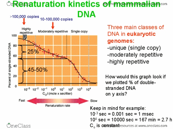 BIOL308 Lecture Notes - Lecture 4: Nature Publishing Group, Pyrimidine, Pearson Education thumbnail