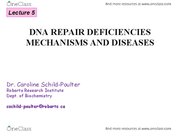 Biochemistry 3385A Lecture 5: Dna Damage Repair Lecture 5 thumbnail