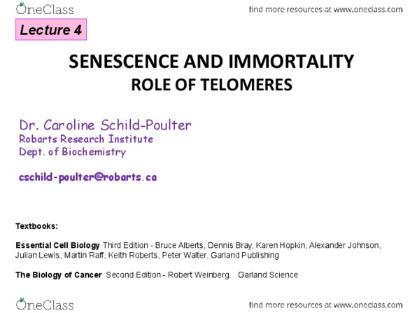 Biochemistry 3385A Lecture 4: Telomerase Lecture 4 thumbnail