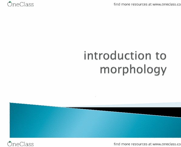 LINGUIST 1A03 Lecture 1: Ling Nov 27 29 Morphology.pdf thumbnail