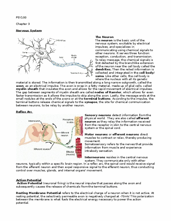 PSY100H1 Chapter Notes - Chapter 3: Diencephalon, Midbrain, Cerebellum thumbnail
