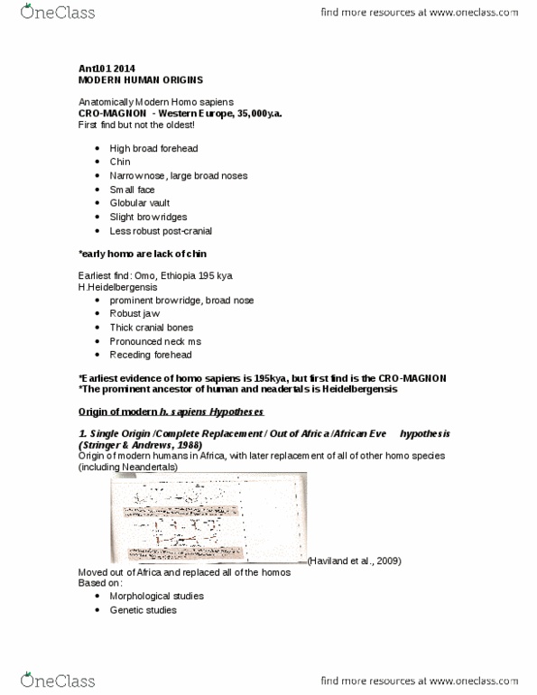 ANT101H5 Lecture 8: lec 8[modern human].docx thumbnail