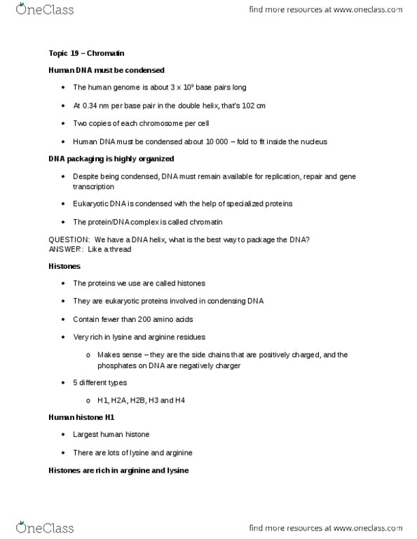 Biochemistry 3380G Lecture Notes - Lecture 19: Nuclear Matrix, Nucleosome, Histone H4 thumbnail