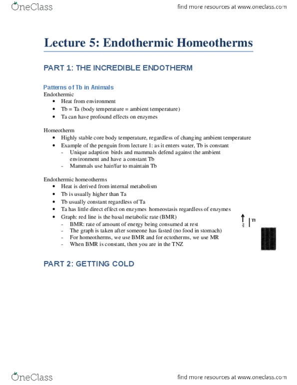 Biology 2601A/B Lecture Notes - Lecture 5: Acclimatization, Atp Synthase, Cytoplasm thumbnail