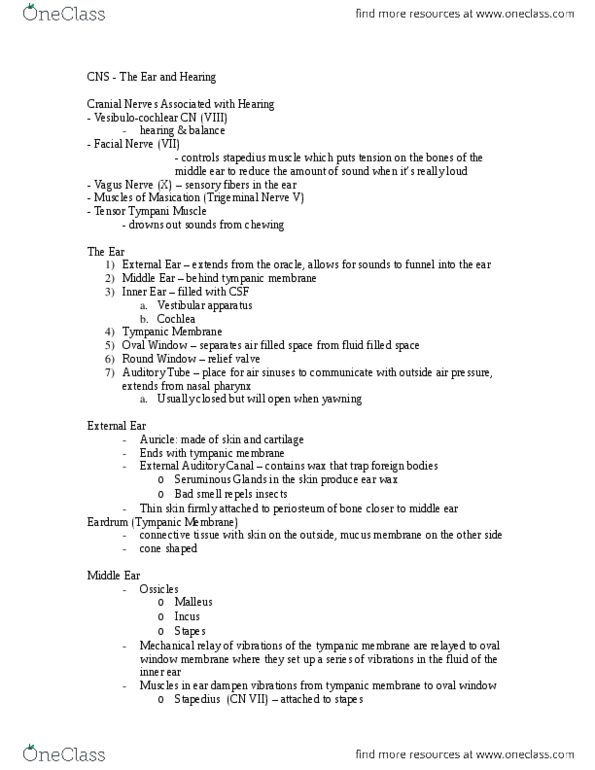 HTHSCI 1H06 Lecture Notes - Lecture 2: Thalamus, Endolymph, Inferior Colliculus thumbnail