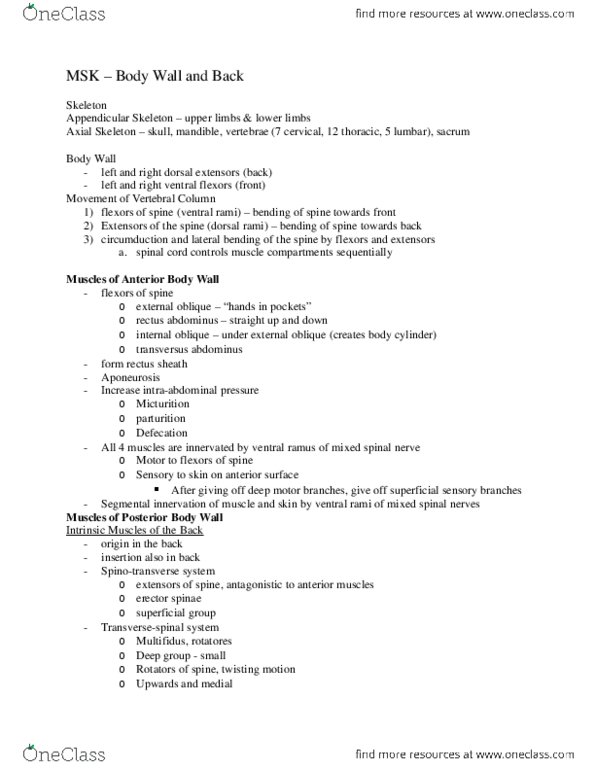 HTHSCI 1H06 Lecture Notes - Lecture 4: Brainstem, Nerve Root, Muscle Weakness thumbnail