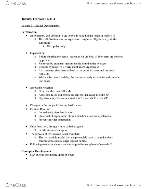 PSY354H5 Lecture Notes - Lecture 5: Ectoderm, Cortisol, Endoderm thumbnail