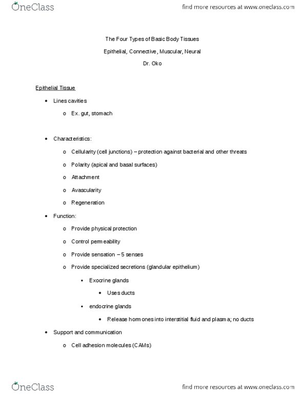 ANAT 101 Lecture Notes - Lecture 1: Ground Substance, Elastic Fiber, Collagen thumbnail