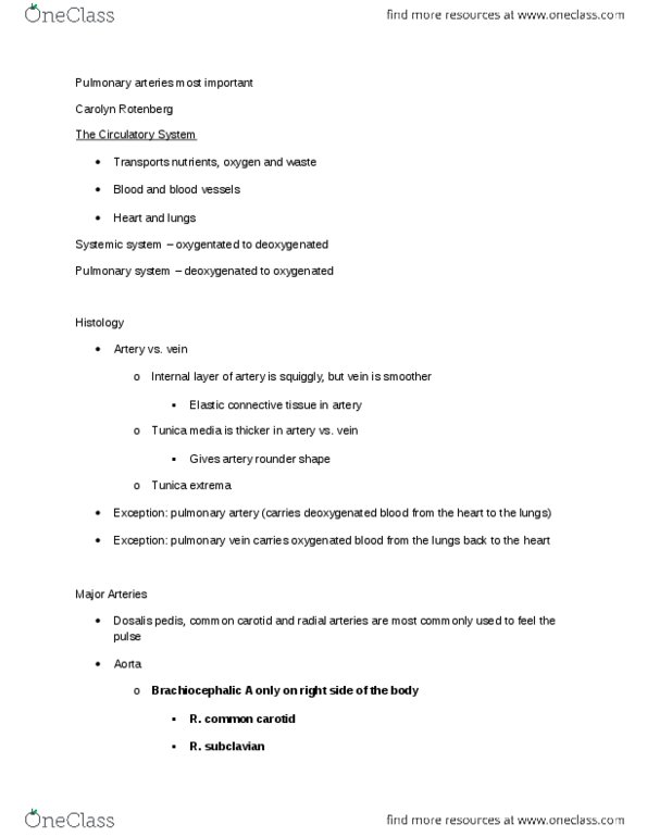 ANAT 101 Lecture Notes - Lecture 13: Hepatic Portal System, Descending Aorta, White Blood Cell thumbnail