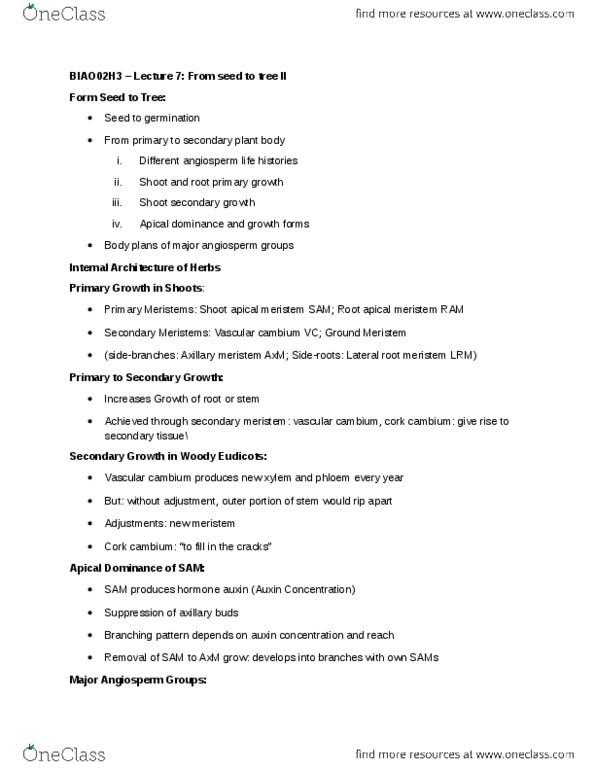 BIOA02H3 Lecture Notes - Lecture 7: Xylem, Eudicots, Monocotyledon thumbnail