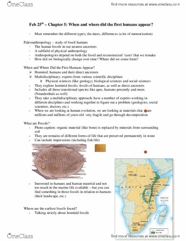 ANTHROP 1AA3 Lecture Notes - Lecture 1: Osteoarthritis, Pistachio, Leprosy thumbnail