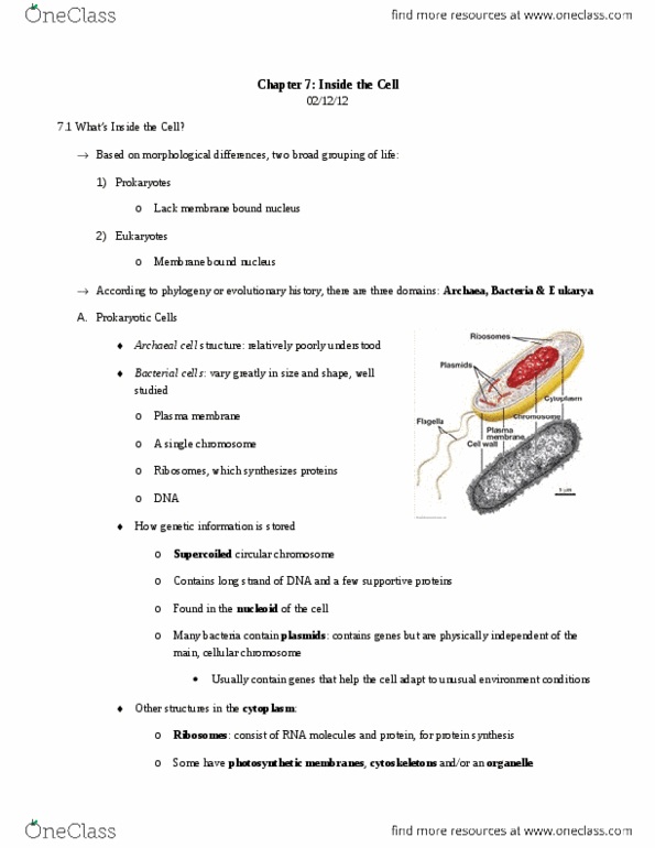 NUTR 513 Chapter Notes - Chapter 7: Plant Cell, Cell Plate, Nuclear Membrane thumbnail