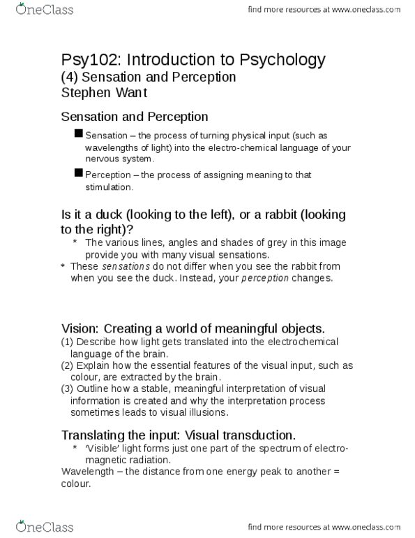PSY 102 Lecture Notes - Lecture 7: Optic Chiasm, Gestalt Psychology, Subjective Constancy thumbnail