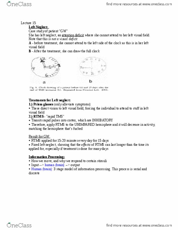 Kinesiology 1080A/B Lecture Notes - Lecture 15: Hemispatial Neglect, Transcranial Magnetic Stimulation, Pattern Recognition thumbnail