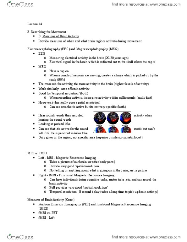 Kinesiology 1080A/B Lecture Notes - Lecture 14: Motor Imagery, Evoked Potential, Parietal Lobe thumbnail