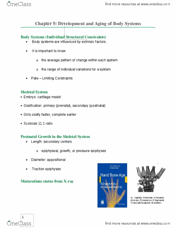 PEDS302 Chapter Notes - Chapter 5: Ossification, Blood Vessel, Biological System thumbnail