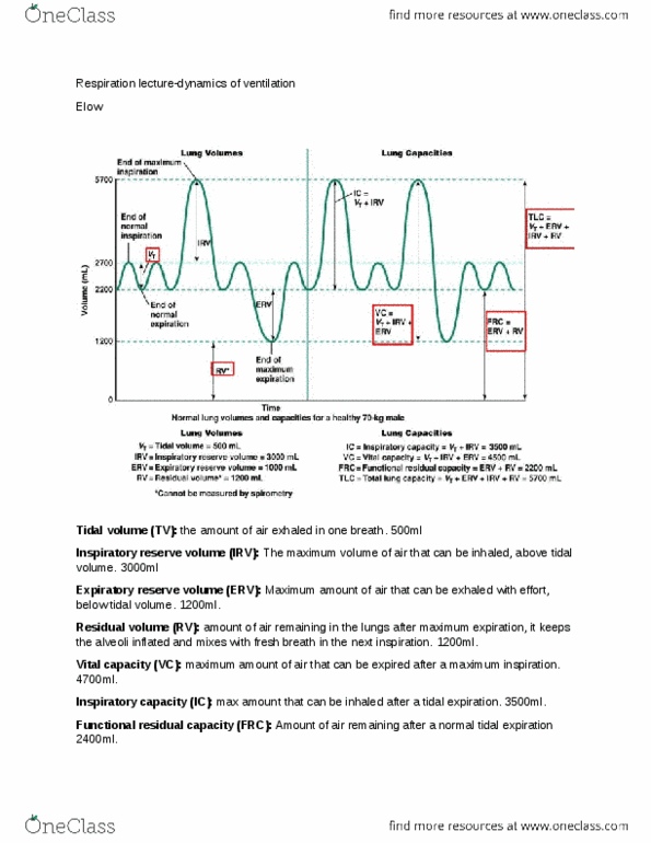 PHYSL210A Lecture Notes - Lecture 3: Transpulmonary Pressure, Hypercapnia, Respiratory Minute Volume thumbnail