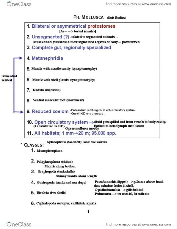 BIOL 205 Lecture 10: Mollusca1.pdf thumbnail